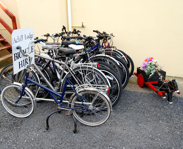 Bicycle Rental
